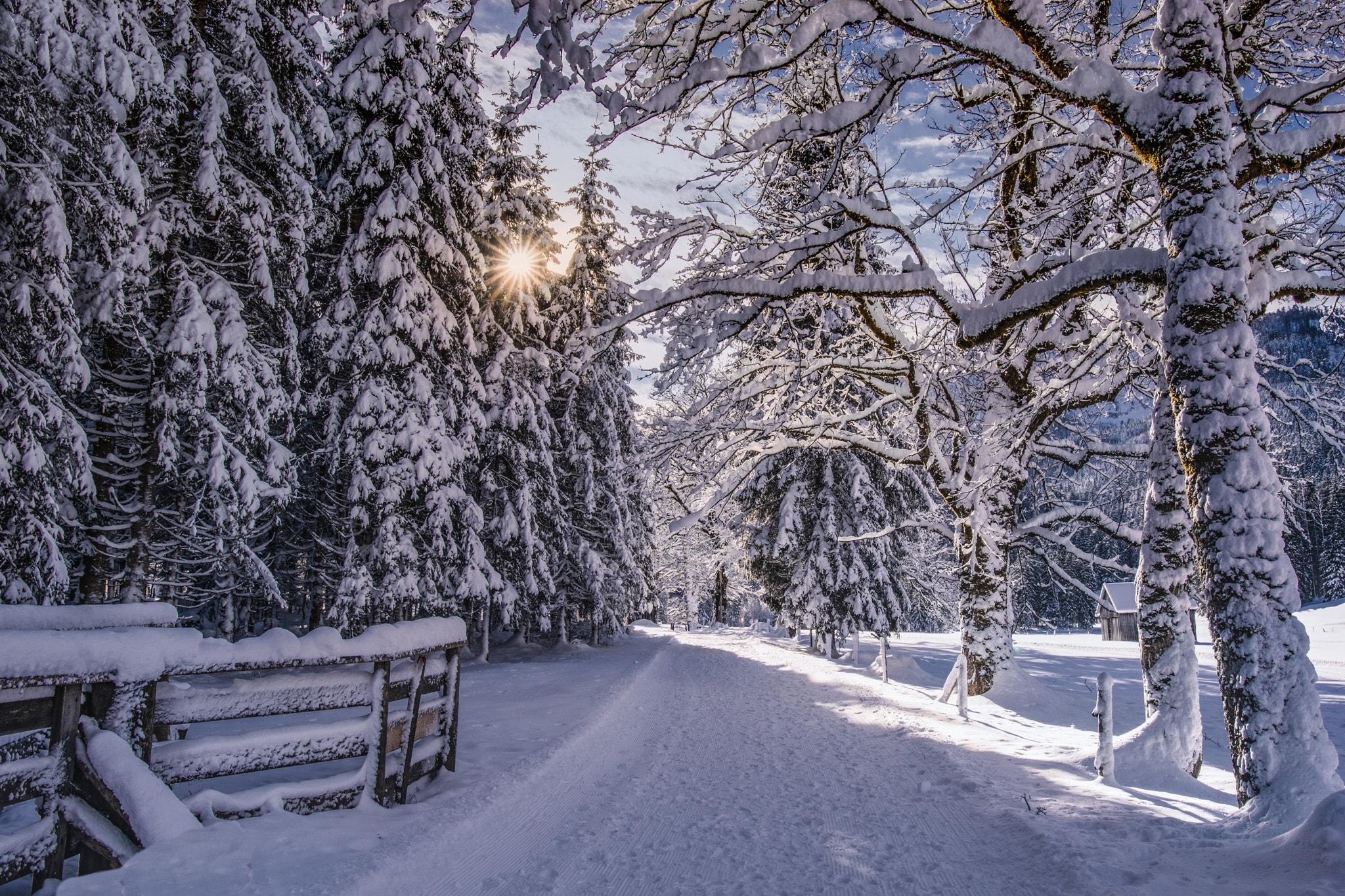 Image: winter, road, snow, forest, trees, landscape