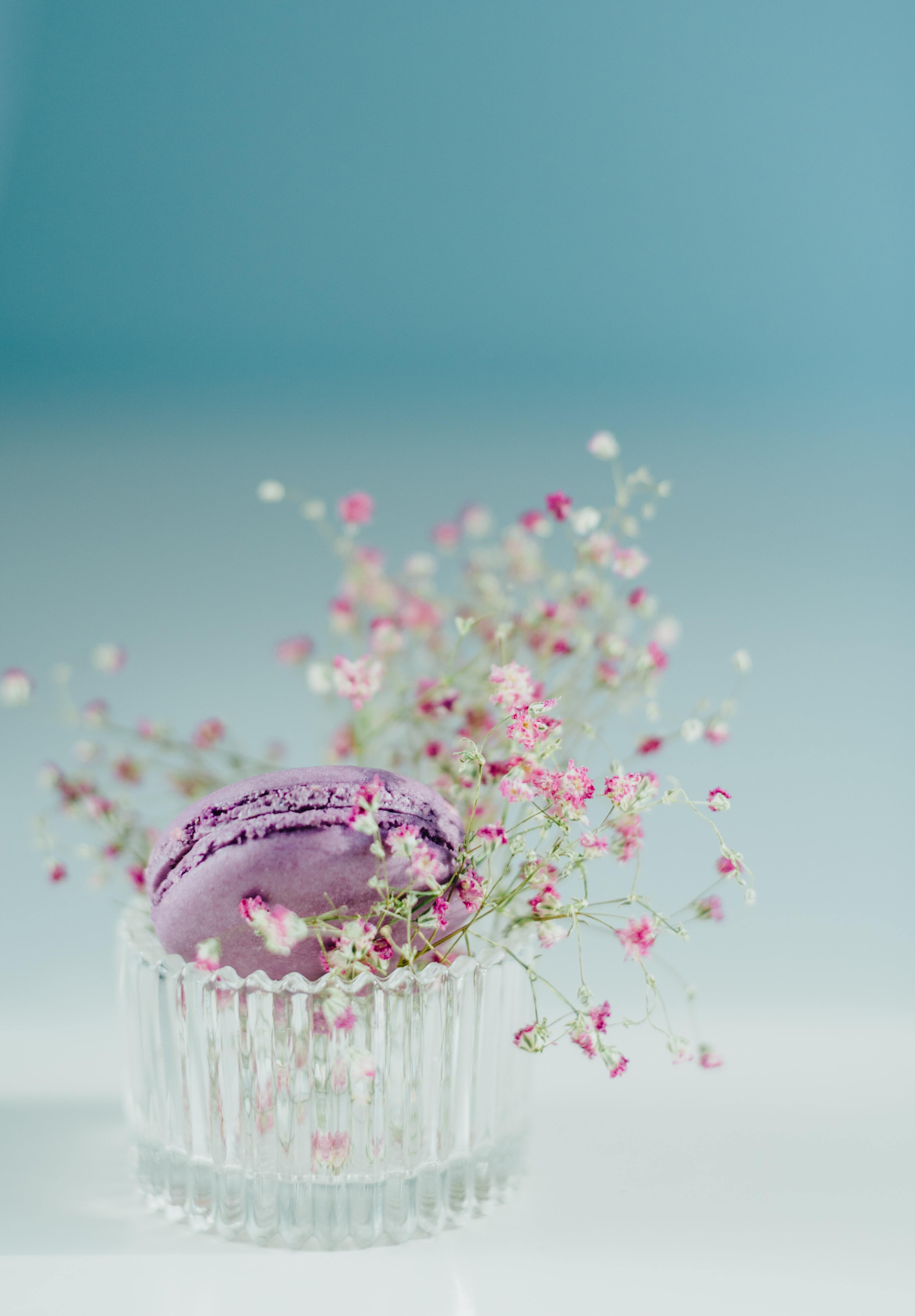 Image: Macaron, cookies, cake, lilac, glass, flowers, photographer, Larissa Farber