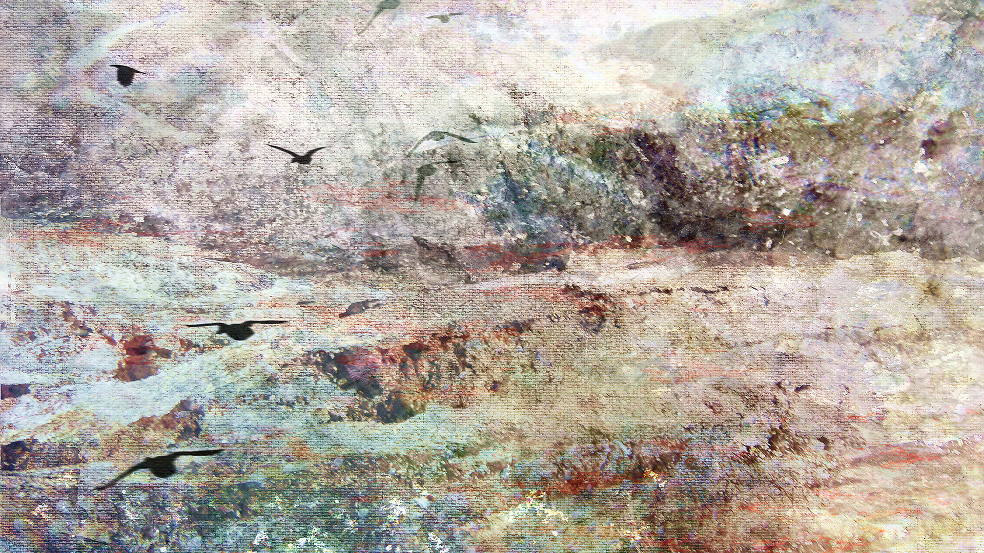 Image: Birds, seagulls, Wallpaper, background, sea