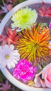 Image: Flowers, leaves, pot, water