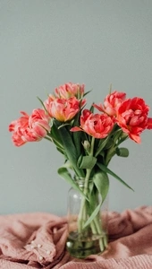 Image: Bouquet, jar, flowers, fabric