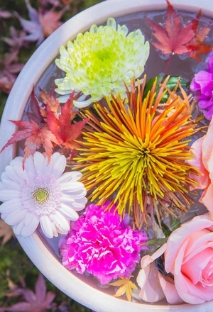 Image: Flowers, leaves, pot, water