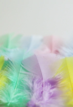Image: Feathers, multicolored, quantity