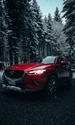 Image: The red Mazda in the winter forest.