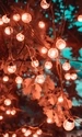Image: Burning light bulbs on tree branches