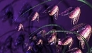 Image: Lilac bells