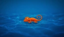Картинка: Оранжевая ящерица на синих волнах