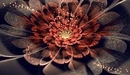 Картинка: Фрактальный цветок в бликах