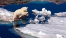 Картинка: Белый медведь прыгает через воду.