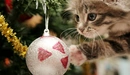 Картинка: Котёнок играет с украшением для ёлки