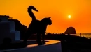 Картинка: Силуэт кошки на фоне заката