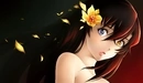 Картинка: Аниме девушка с цветком в волосах и разным цветом глаз.