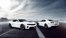 Картинка: Два белых Chevrolet Camaro стоят на дороге