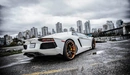 Картинка: Белый Lamborghini Aventador