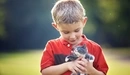 Картинка: Мальчик держит в руках маленького котёнка