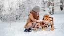 Картинка: Девочка и лиса на санках зимой.