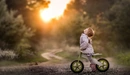 Картинка: Маленькая девочка с велосипедом у лесной дороги.