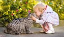 Картинка: Дружба девочки и кошки.