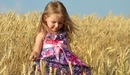 Картинка: Маленькая девочка в красивом платье на пшеничном поле
