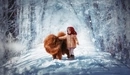 Картинка: Девочка и собака в снежном лесу.