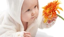 Картинка: Малыш заинтересован цветком.