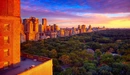 Image: Central Park in new York city at dawn.