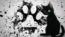 Image: Black cat and cat footprints