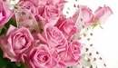 Картинка: Букет розовых роз на белом фоне