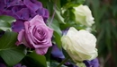 Картинка: Красивые розы нежных оттенков.