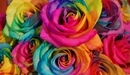Картинка: Радужные розы