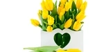 Image: Yellow tulips in a vase