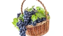 Картинка: Гроздья винограда в плетёной корзинке.