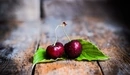 Картинка: Две ягодки черешни в каплях воды лежат на листиках