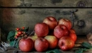 Image: Harvest of apples
