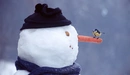 Картинка: Синичка в гостях у снеговика