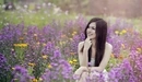 Картинка: Девушка сидит в поле с цветами