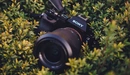 Картинка: Фотоаппарат Sony в траве
