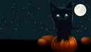 Картинка: Halloween, хэллоуин, кот, ночь, луна, тыква