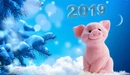 Картинка: Новогодняя свинка возле ёлки.