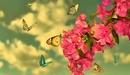 Картинка: Множество бабочек у ветки с цветками