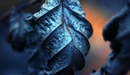 Image: Dried leaf closeup