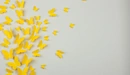 Картинка: Жёлтые бабочки полетели