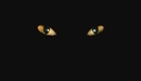 Картинка: Кошачьи глаза в темноте