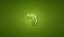 Image: Chameleon on green background