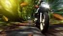 Картинка: Скоростной байкер едет по дорожке, взмывая опавшую листву.