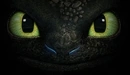 Image: The eyes of Toothless from the movie How to train your dragon