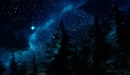 Картинка: Верхушки елей на фоне яркого звездного неба.