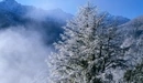 Картинка: Невероятная красота зимней природы с видом на горы.