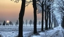 Картинка: Зимний закат в лесу.