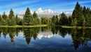 Image: Beautiful reflection of a coniferous forest in the water